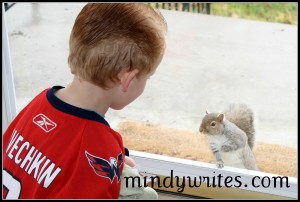 Evan Watching a Squirrel